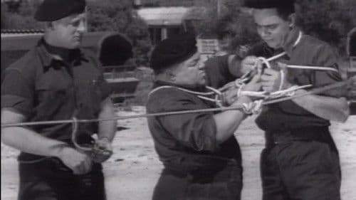 Fratse in die Vloot Bild 1