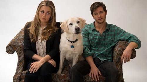 Wer kriegt den Hund? Bild 3