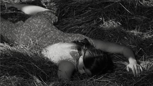 L'Allégement Bild 2