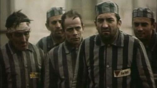 Manifest za slobodu Bild 1