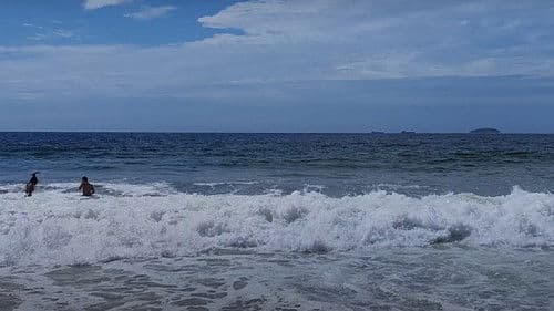 Dias Atípicos Bild 1