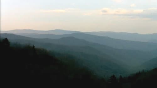 Bigfoot Witness Bild 1