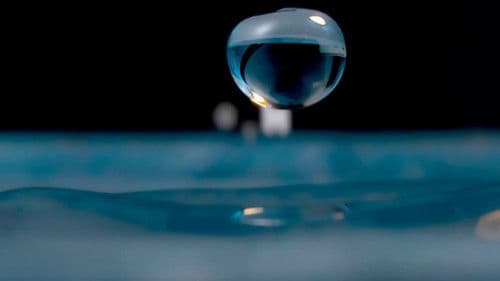 H2O: The Molecule that Made Us Bild 5