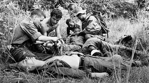 Die 317. Sektion Bild 2