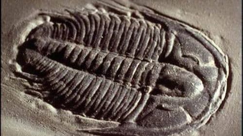 Lost Worlds, Vanished Lives Bild 1