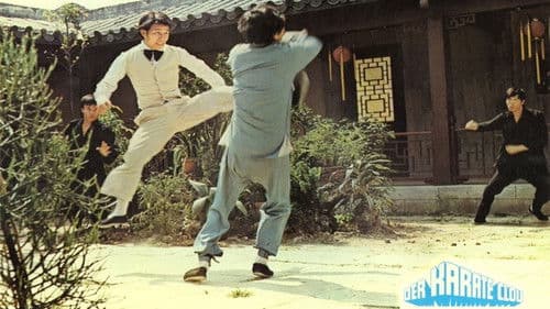 Der Karate Clou Bild 1