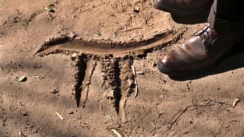 Der zerrissene Vorhang Bild 7