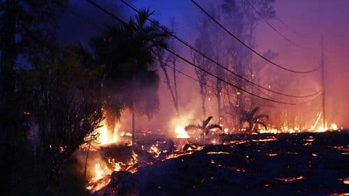 Tödliche Naturgewalten Bild 1