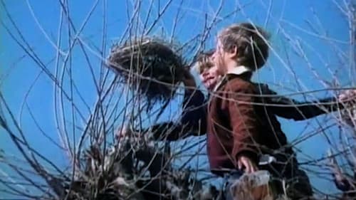 Ангелочек, сделай радость Bild 1