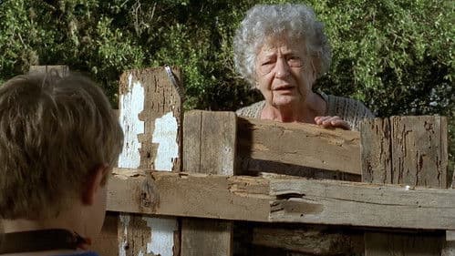 Dona Cristina Perdeu a Memória Bild 3