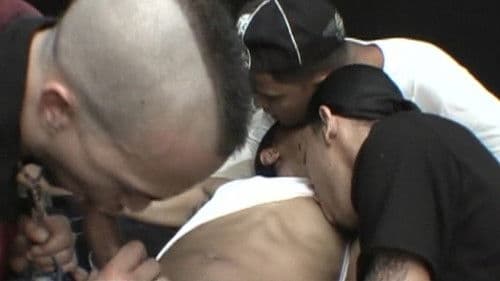 3 Little Pigs Bild 1