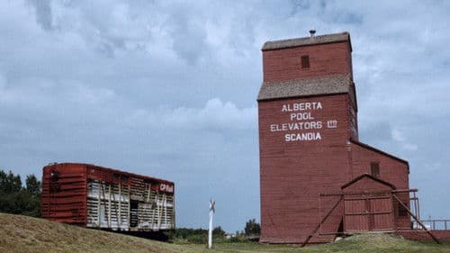 Death of a Skyline Bild 1