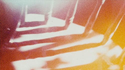 Looking for Mushrooms Bild 1