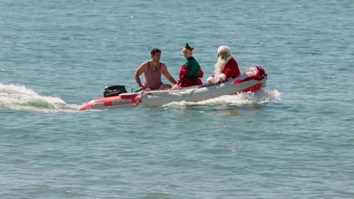 Kiwi Christmas Bild 2