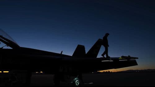 The Blue Angels Bild 7