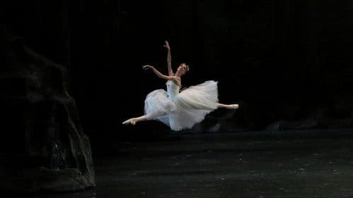 Bolshoi Ballet: La Sylphide Bild 2