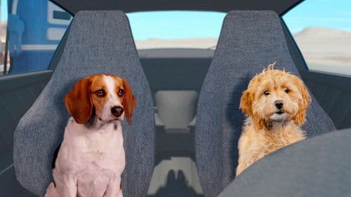 Fast and Furriest Bild 1