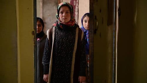 شال سیاه Bild 1