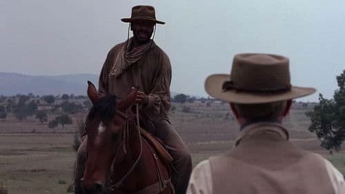 King of Texas Bild 3