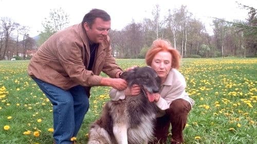 Hoffnung für Julia Bild 1