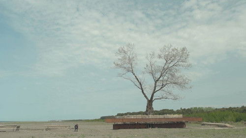 Die Zähmung der Bäume Bild 6