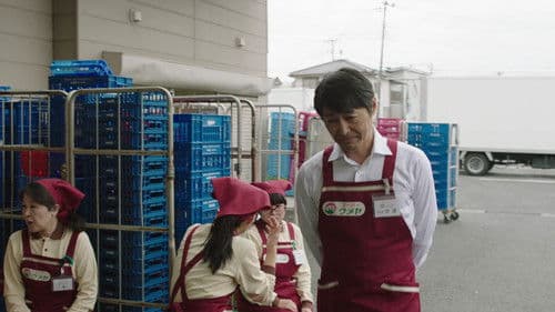 私はいったい、何と闘っているのか Bild 2