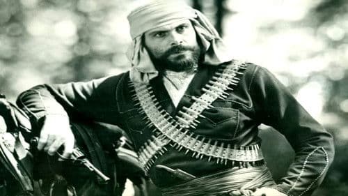 მევლუდი Bild 3