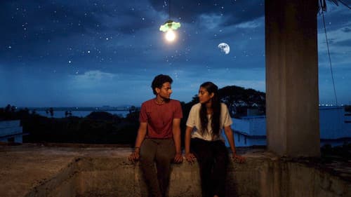 LBW: Love Beyond Wicket Bild 3