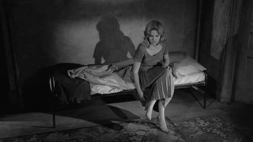 Wilde Knospen Bild 2