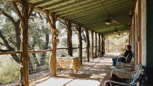 Three Days in August Bild 1