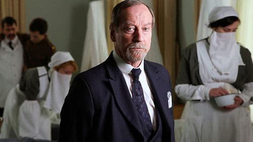 Spanish Flu: The Forgotten Fallen Bild 1