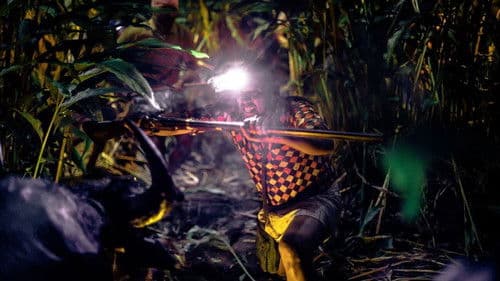 Zorn der Bestien - Jallikattu Bild 2