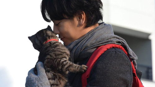 世界から猫が消えたなら Bild 7