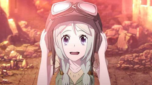 Cagaster of an Insect Cage Bild 3