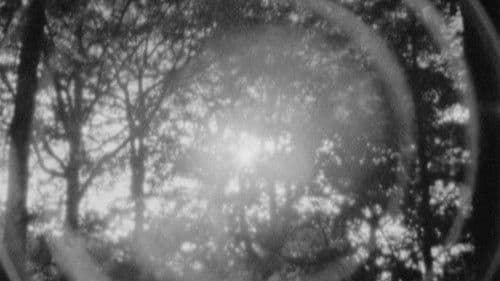 La Marche de Paris à Brest Bild 1