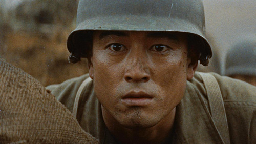 パイナップル部隊 Bild 1