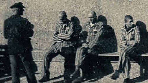 From Where They Stood Bild 1