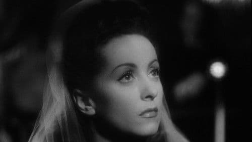 Adieu chérie Bild 6