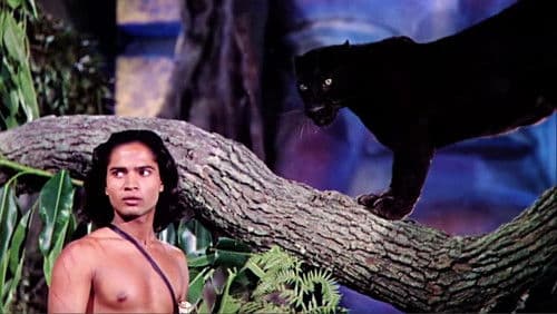 Das Dschungelbuch Bild 5