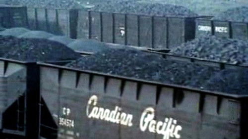 That's the Price Bild 1