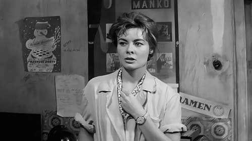 31 Grad im Schatten Bild 1