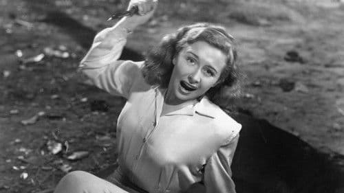 Angel on the Amazon Bild 6