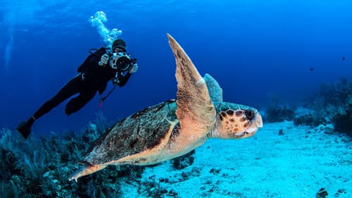 Flussgiganten Bild 4