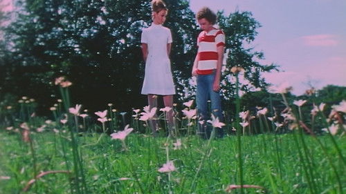 Don't Look in the Basement Bild 4