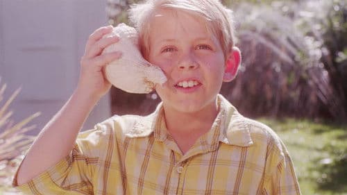 The Sunny Side Bild 1