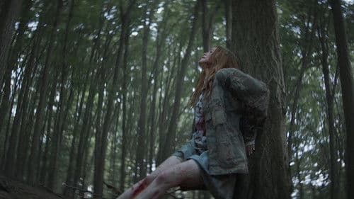 The Strangers Bild 1