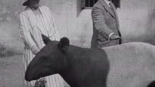 Indian Wildlife Park Bild 1