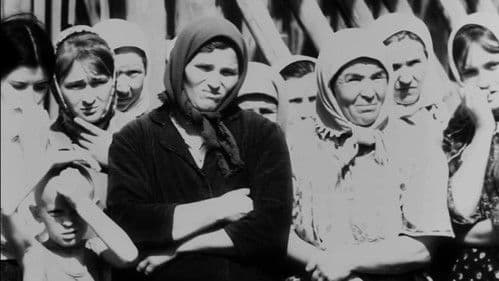 Совість Bild 4