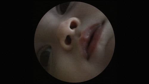 Wind Through a Tree Bild 2