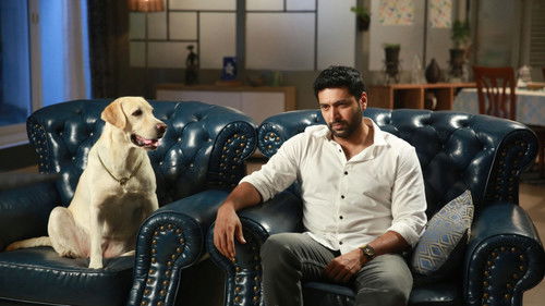 கோமாளி Bild 8